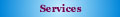 Our Services